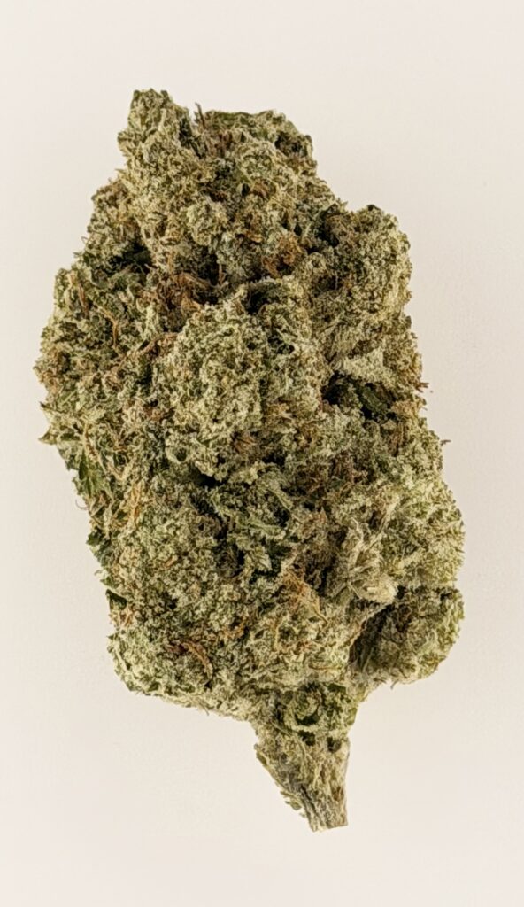 Close-up of a cannabis bud showcasing rich green hues and fine trichomes, highlighting its quality and texture.