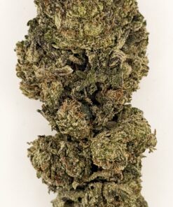 Close-up of a dense cannabis bud showcasing vibrant green hues and a frosty texture, highlighting its quality.