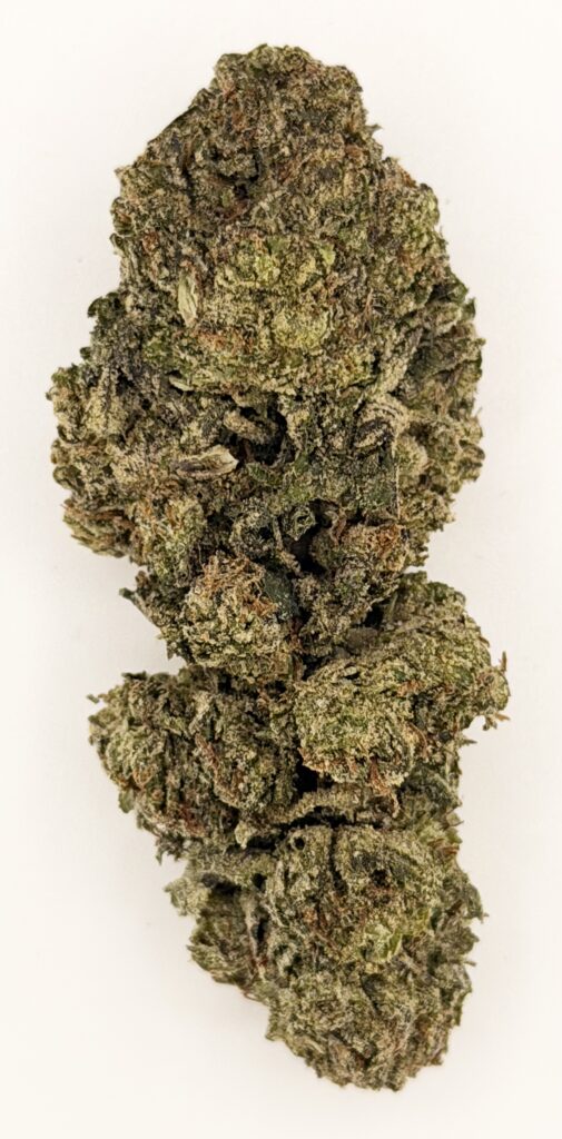 Close-up of a dense cannabis bud showcasing vibrant green hues and a frosty texture, highlighting its quality.