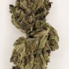 Close-up of a dense, well-cured cannabis bud showcasing rich green and purple hues against a white background.