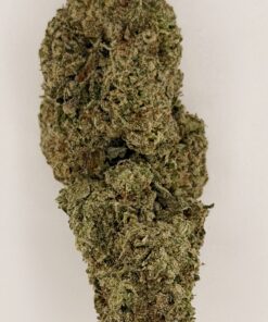 Close-up of a dense cannabis bud with vibrant green hues and a frosty appearance, ideal for medicinal or recreational use.