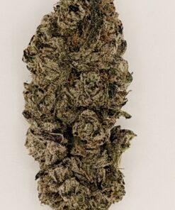 Close-up of a dense cannabis bud showcasing trichomes and earthy colors, highlighting its rich texture and quality.