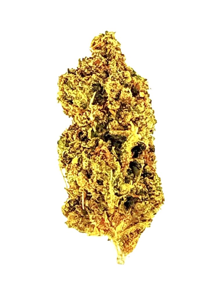 Close-up of a vibrant cannabis bud showcasing its green and golden trichomes against a white background.