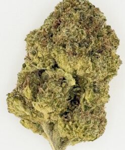 Close-up of dense, green cannabis flower showcasing its rich trichomes and natural texture on a white background.