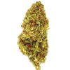 Close-up of a vibrant cannabis flower, showcasing its rich green hue and textured surface for medicinal or recreational use.