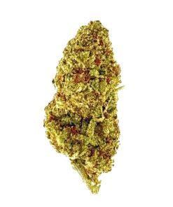 Close-up of a vibrant cannabis flower, showcasing its rich green hue and textured surface for medicinal or recreational use.