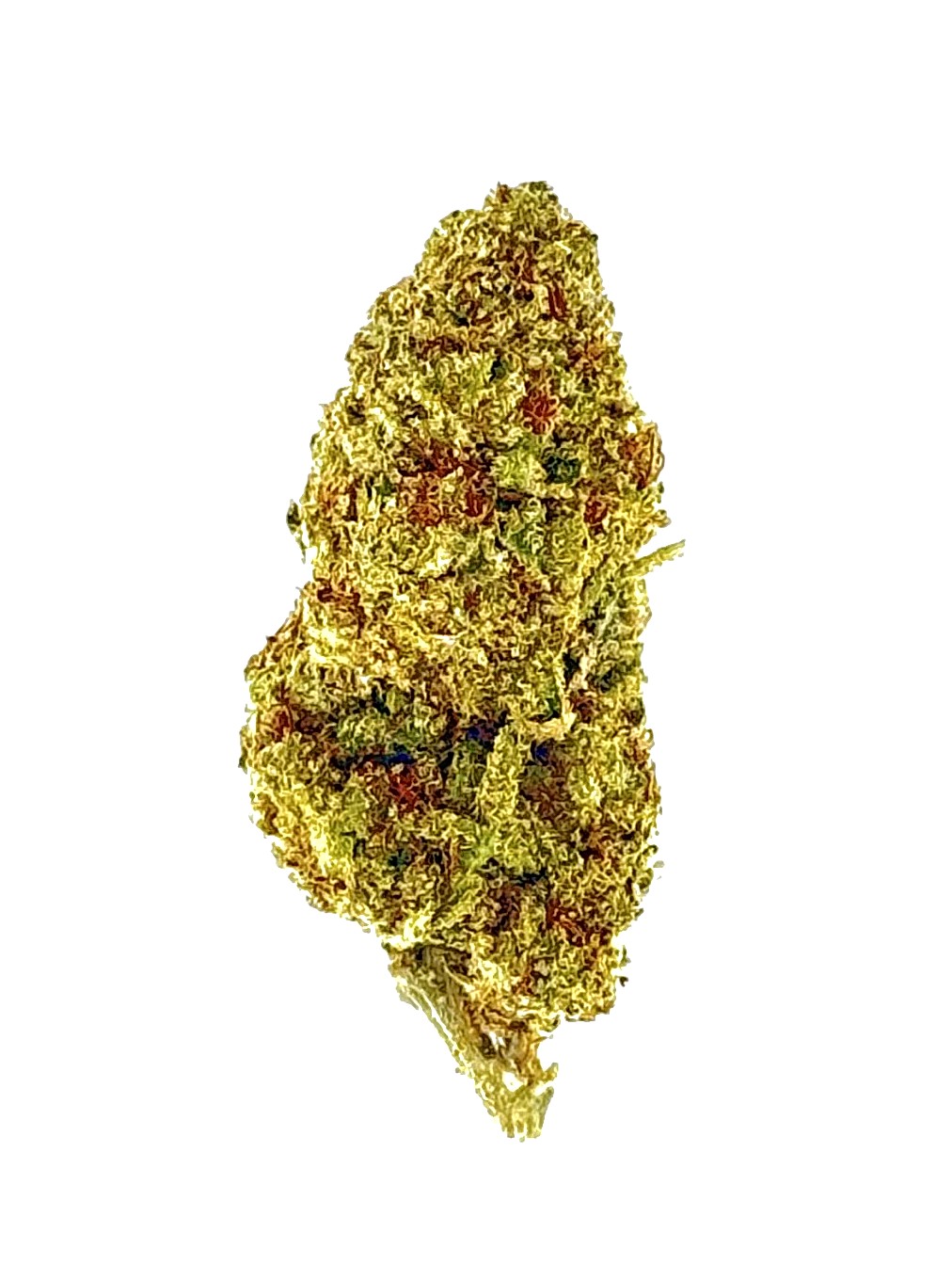 Pop Rockz (Ounce) 1 Close-up of a vibrant cannabis flower, showcasing its rich green hue and textured surface for medicinal or recreational use.