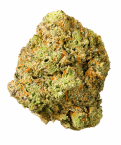Close-up of a vibrant cannabis bud showcasing rich green hues and orange pistils, emphasizing its unique texture and detail.
