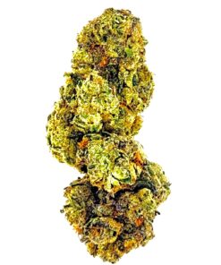 Close-up of vibrant green cannabis buds with dense trichomes and orange hairs on a white background.