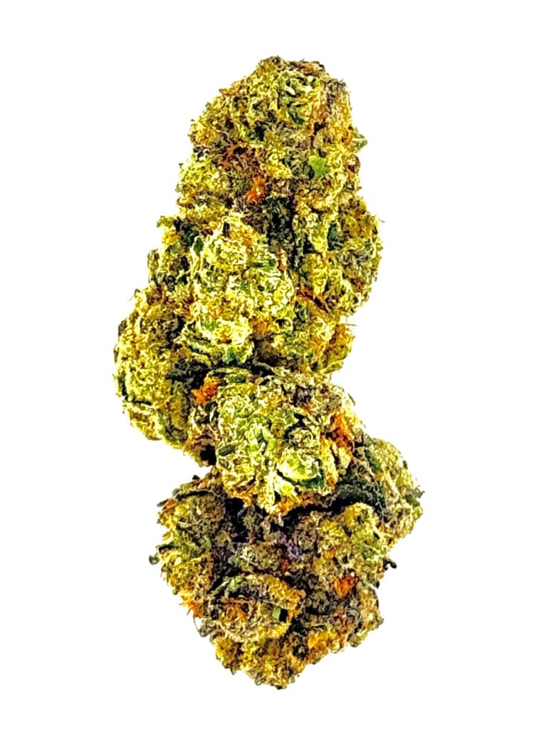 Close-up of vibrant green cannabis buds with dense trichomes and orange hairs on a white background.