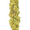 Close-up of a vibrant green cannabis bud showcasing rich trichomes and textures, ideal for cannabis enthusiasts.
