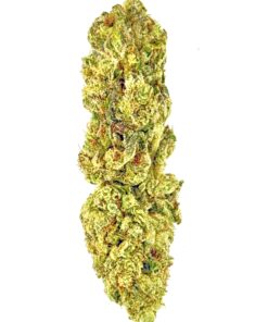 Close-up of a vibrant green cannabis bud showcasing rich trichomes and textures, ideal for cannabis enthusiasts.