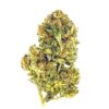Close-up of cannabis bud showcasing rich textures and vibrant colors against a white background. Ideal for cannabis enthusiasts.