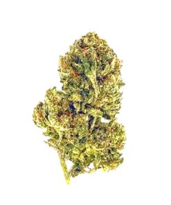 Close-up of cannabis bud showcasing rich textures and vibrant colors against a white background. Ideal for cannabis enthusiasts.