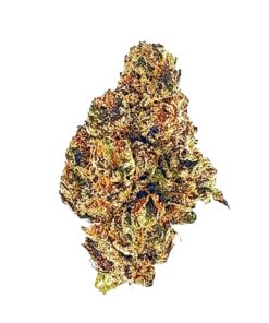 Close-up of vibrant cannabis flower, showcasing rich colors and texture, ideal for cannabis enthusiasts and connoisseurs.