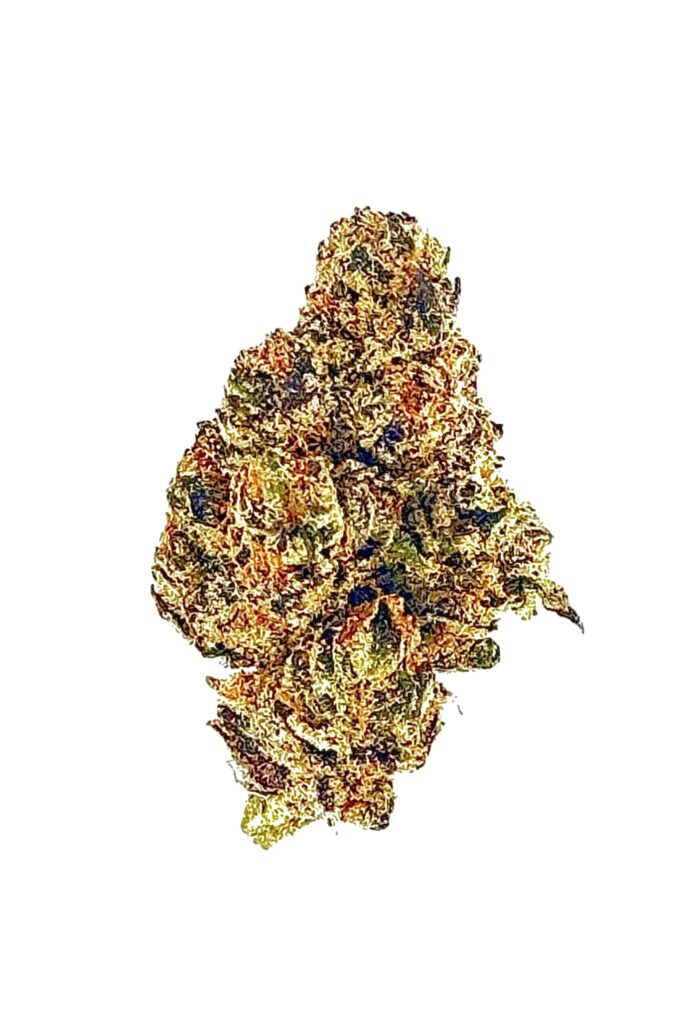 Close-up of vibrant cannabis flower, showcasing rich colors and texture, ideal for cannabis enthusiasts and connoisseurs.