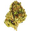 Close-up of a green cannabis bud showcasing its unique texture and vibrant trichomes against a white background.