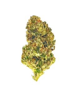 Close-up of a bright green cannabis bud, showcasing its dense structure and vibrant trichomes against a white background.