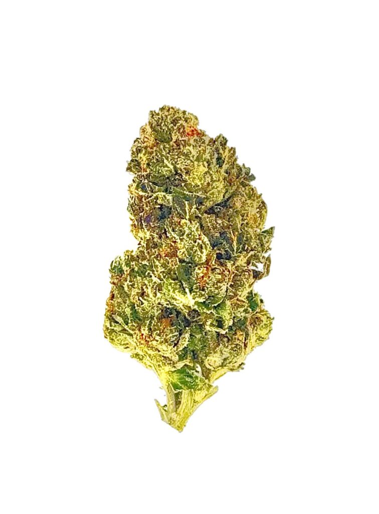 Close-up of a bright green cannabis bud, showcasing its dense structure and vibrant trichomes against a white background.
