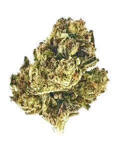 Close-up of premium cannabis buds, showcasing rich green colors and dense trichomes against a white background.