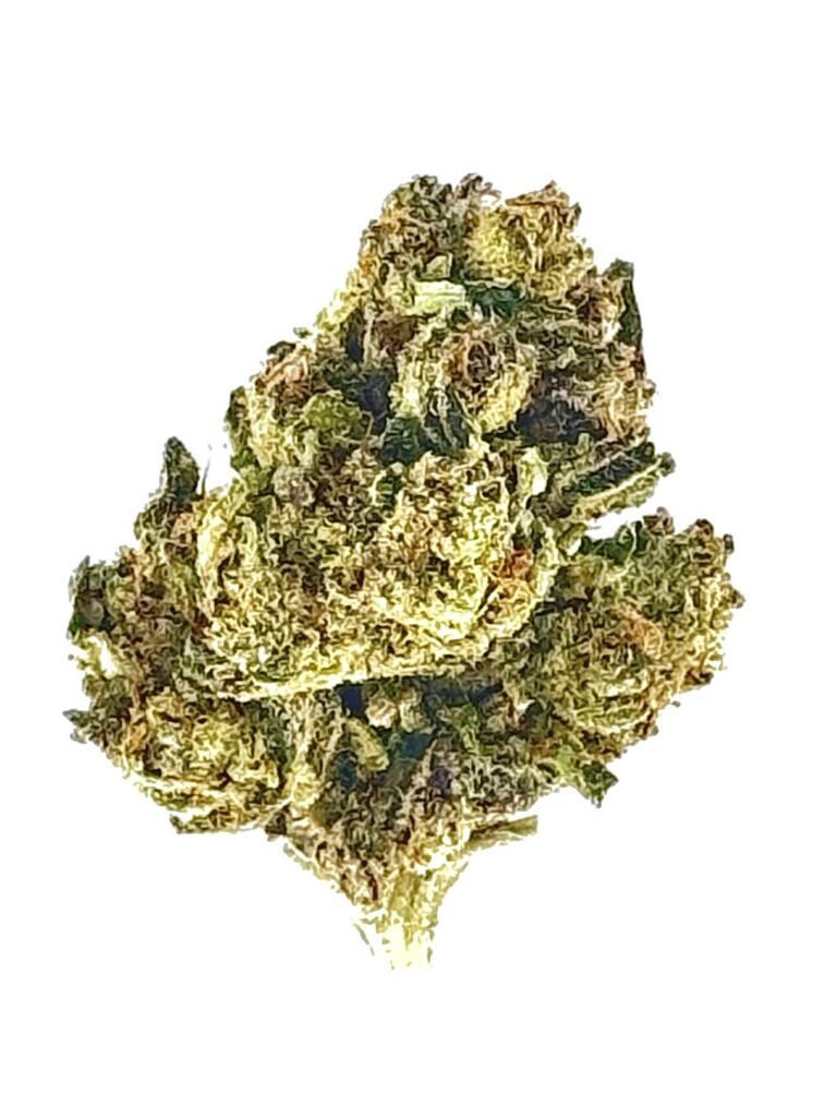 Close-up of premium cannabis buds, showcasing rich green colors and dense trichomes against a white background.