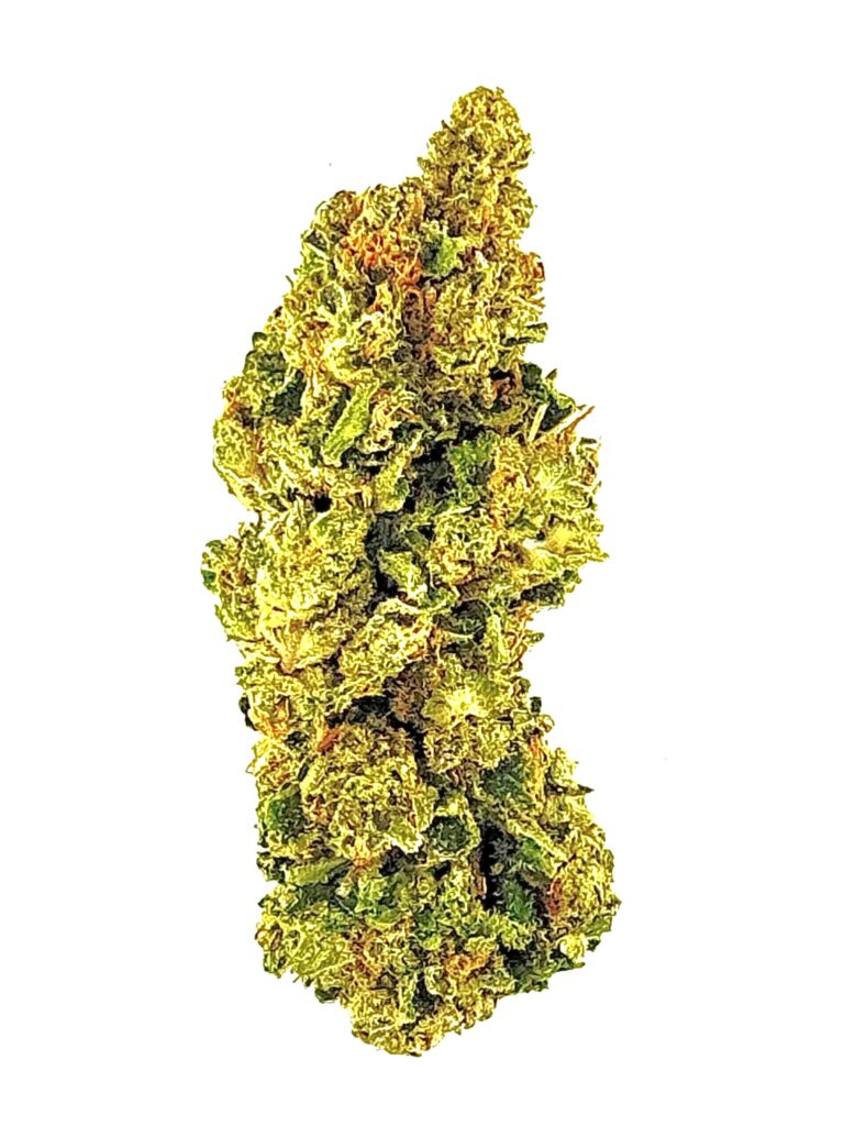 Close-up of a vibrant cannabis bud, showcasing its rich green and orange hues, perfect for cannabis enthusiasts.
