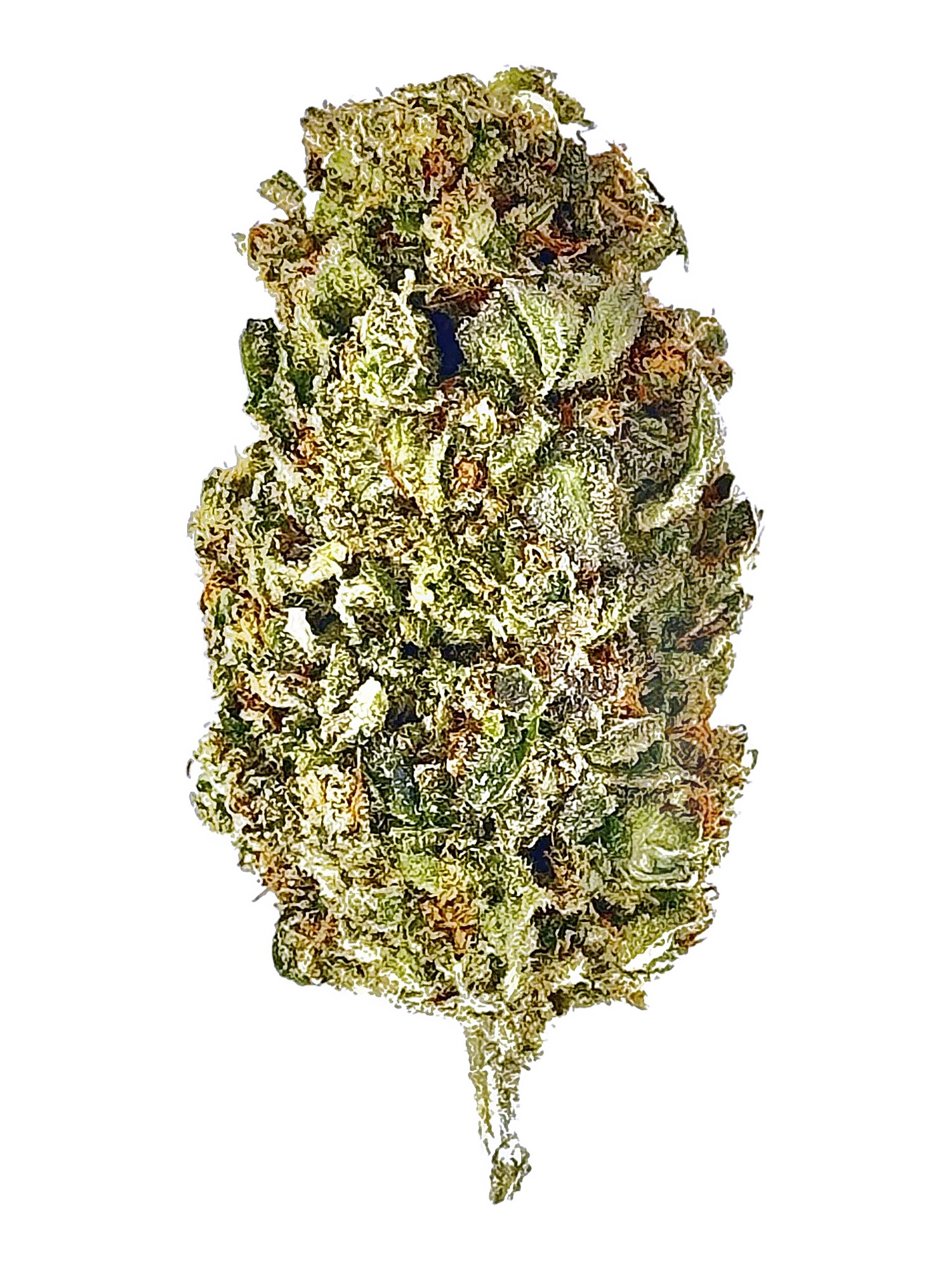 Hash Burger 1 Hash Burger cannabis flower, same-day delivery NYC - MetroBud