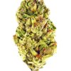 Close-up of a vibrant, green cannabis bud showcasing its texture and trichomes against a white background.