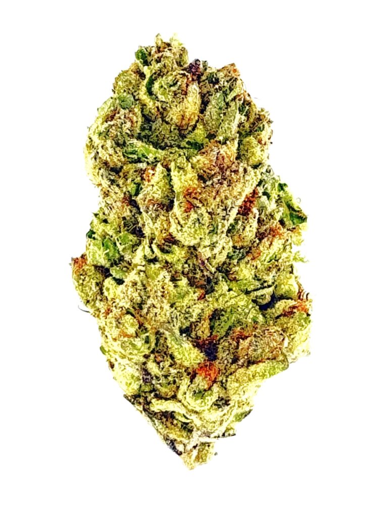 Close-up of a vibrant, green cannabis bud showcasing its texture and trichomes against a white background.