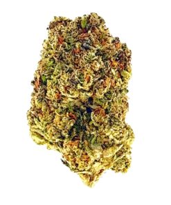 Close-up of a cannabis bud featuring vibrant green and gold hues, showcasing its rich texture and trichomes.
