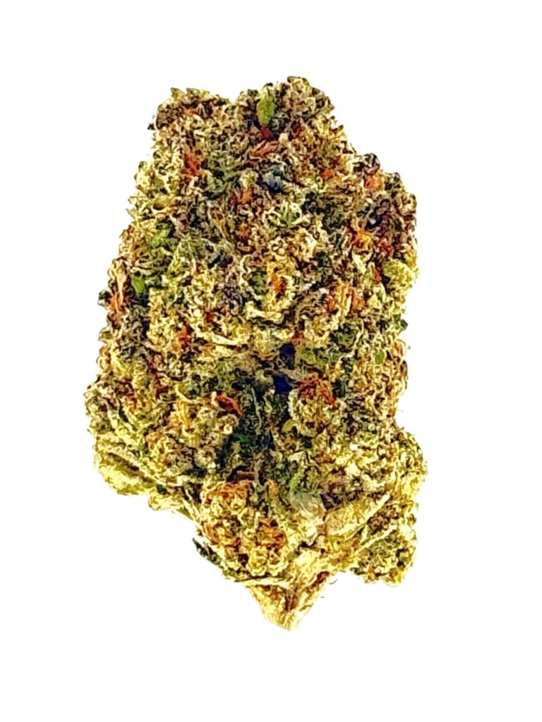 Close-up of a cannabis bud featuring vibrant green and gold hues, showcasing its rich texture and trichomes.