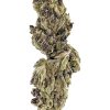 Toad Venom cannabis flower, same-day delivery NYC - MetroBud