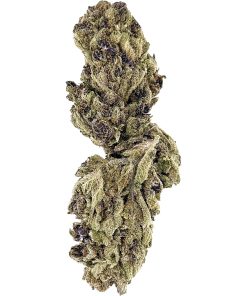 Toad Venom cannabis flower, same-day delivery NYC - MetroBud