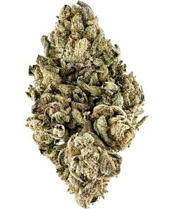 Versace cannabis flower, same-day delivery NYC - MetroBud