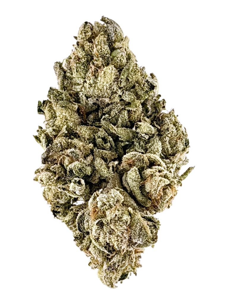 Versace cannabis flower, same-day delivery NYC - MetroBud
