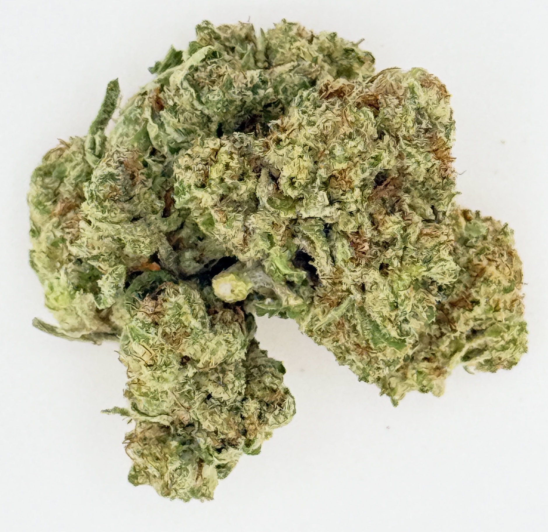 Black Sherb (Ounce) 1 Close-up of high-quality cannabis buds showcasing vibrant green hues and detailed trichomes, ideal for herbal enthusiasts.