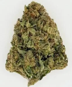 Close-up of green cannabis bud with a dense texture, showcasing its natural color and trichomes on a white background.