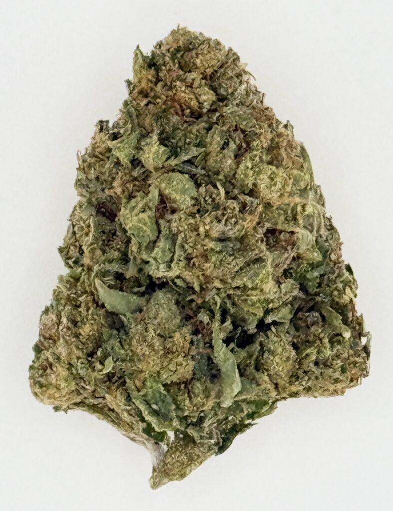 Close-up of green cannabis bud with a dense texture, showcasing its natural color and trichomes on a white background.