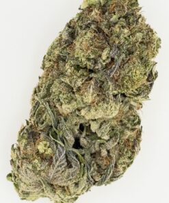 Close-up of a dense cannabis bud showcasing vibrant green hues and frosty trichomes, ideal for medical or recreational use.
