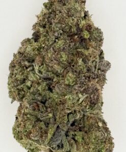 Close-up of a dense cannabis bud with green and brown hues, showcasing its rich texture and trichomes on a light background.