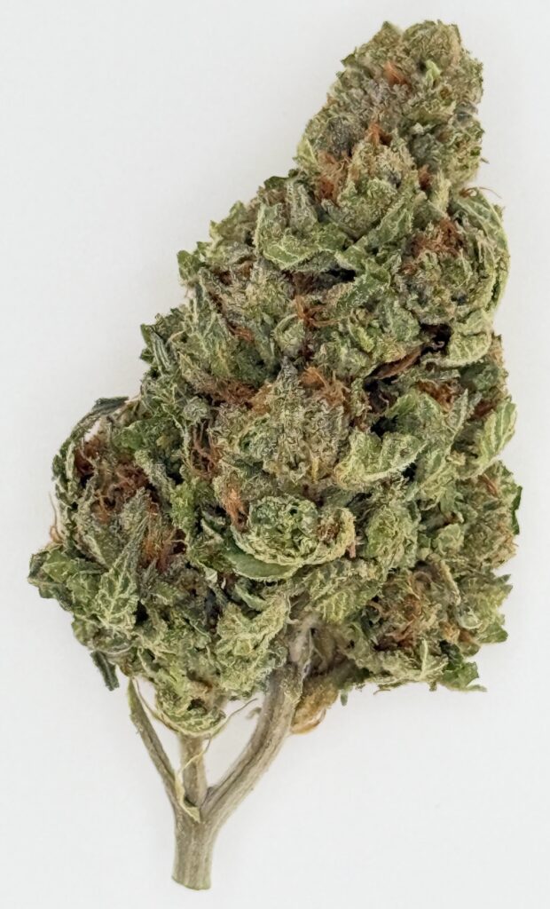 Close-up of a cannabis flower showing dense, green buds with orange pistils on a white background. Ideal for educational use.