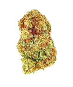 Close-up of a vibrant cannabis bud featuring green and orange hues, showcasing its rich texture and trichome details.