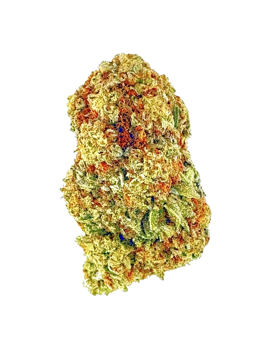Gelato King (Ounce) 1 Close-up of a vibrant cannabis bud featuring green and orange hues, showcasing its rich texture and trichome details.