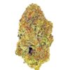 Close-up of a vibrant cannabis bud showcasing its rich colors and texture against a white background.