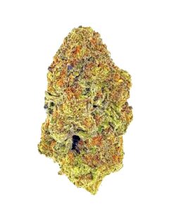 Close-up of a vibrant cannabis bud showcasing its rich colors and texture against a white background.