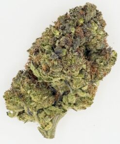 Close-up of a dense cannabis bud showcasing rich green hues and sparkling trichomes on a white background.