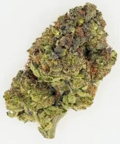 Close-up of a dense cannabis bud showcasing rich green hues and sparkling trichomes on a white background.