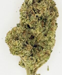 Close-up of a cannabis bud showcasing its green color and fine trichomes on a white background.
