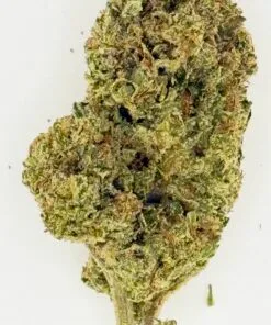 Close-up of a cannabis bud showcasing its green color and fine trichomes on a white background.