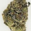 Close-up of cannabis bud highlighting its vibrant green and purple hues and rich texture against a neutral background.